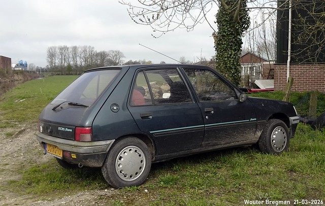 Peugeot 205 Sceptre